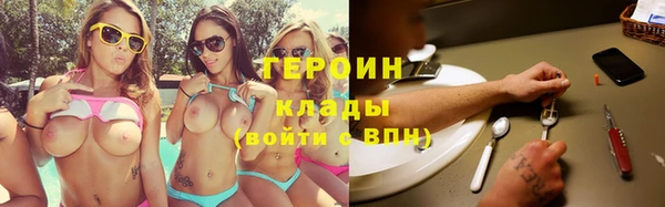 тгк Дмитриев