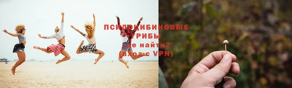 первитин Дмитров