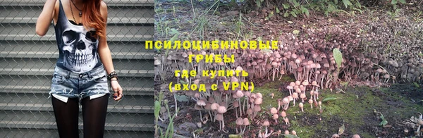 первитин Дмитров