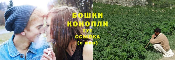 тгк Дмитриев
