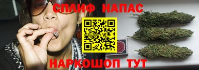 spice Балашиха