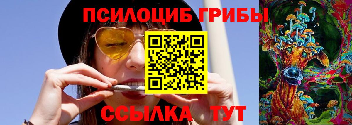 Псилоцибиновые грибы ЛСД  Галлюциногенные грибы Psilocybe  Вичуга 