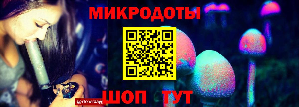 Псилоцибиновые грибы MAGIC MUSHROOMS  Вход с VPN  Вичуга  Псилоцибиновые грибы прущие грибы 