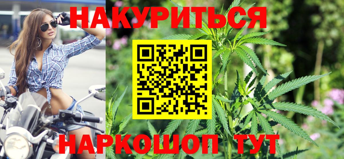 Бошки марихуана гибрид  Вичуга  Марихуана планчик 